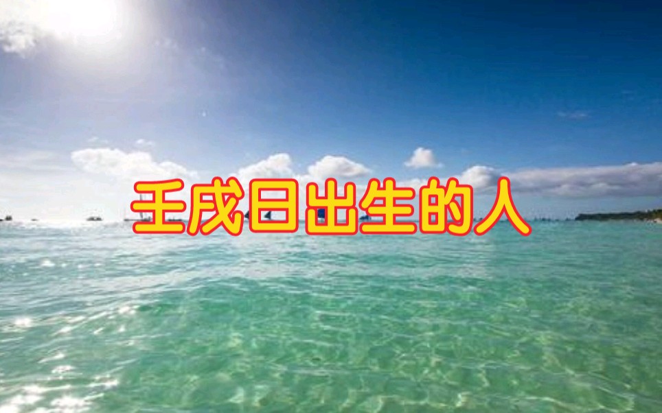 壬戌日出生的人哔哩哔哩bilibili