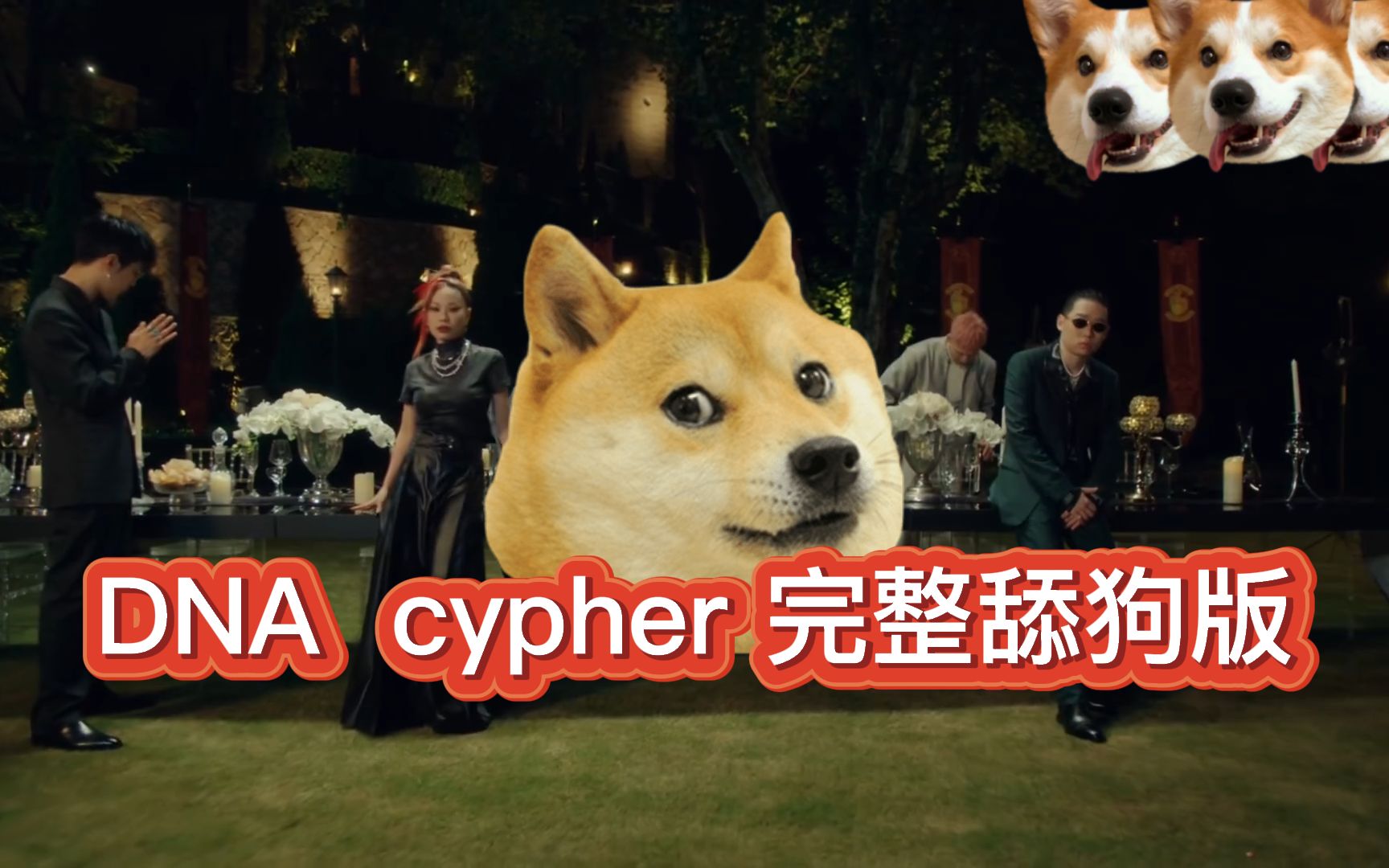 [图]D.N.A Cypher 舔狗完整版