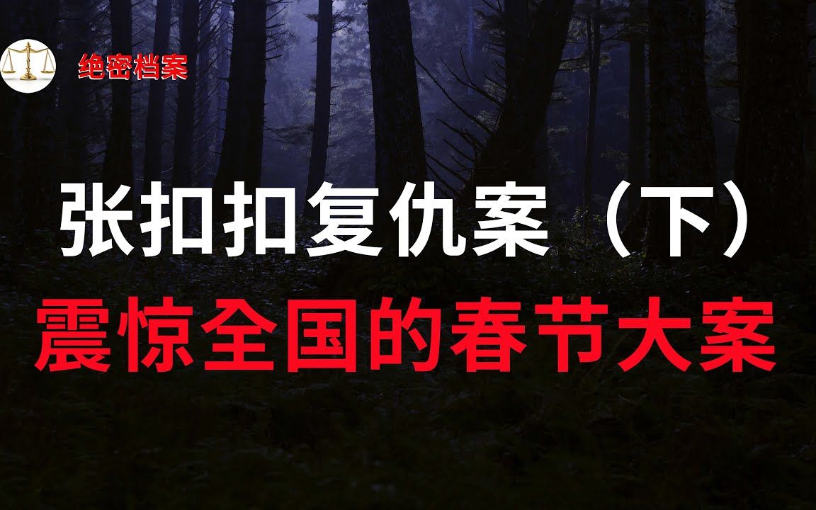 张扣扣复仇大案(下),震惊全国的春节大案,三条人命两个家庭的悲剧  大案要案纪实录  绝密档案哔哩哔哩bilibili