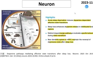 Download Video: Neuron—睡眠缺乏为何引起性欲旺盛和过度躁狂？