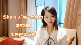 #Sherry“核”你有约 第93期 余热排出系统