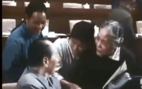 1973年重大成就:十大召开,法国总统访华哔哩哔哩bilibili