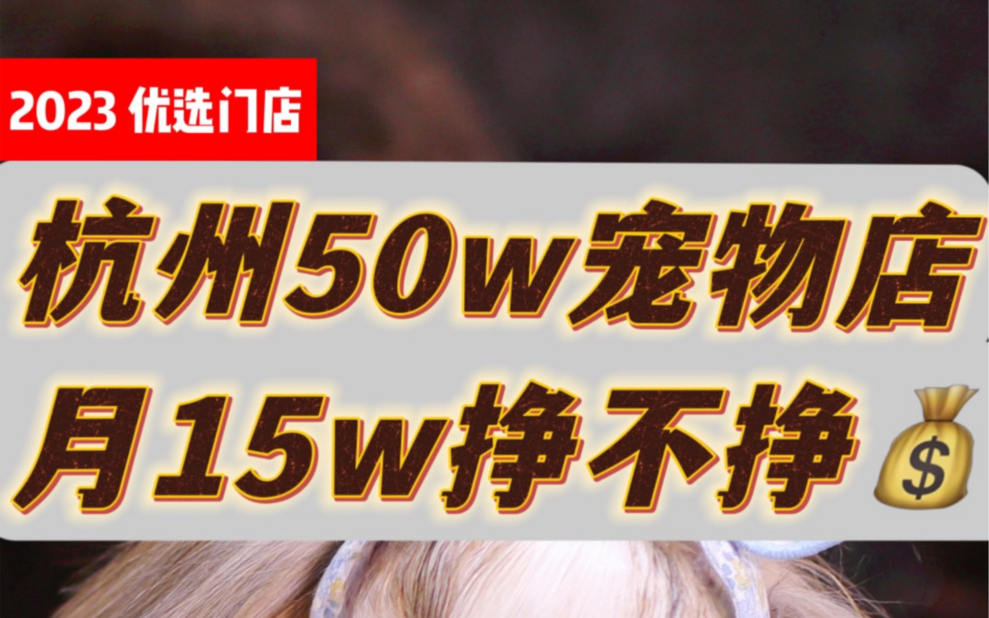 杭州50w宠物店 月15w挣不挣钱2/2哔哩哔哩bilibili