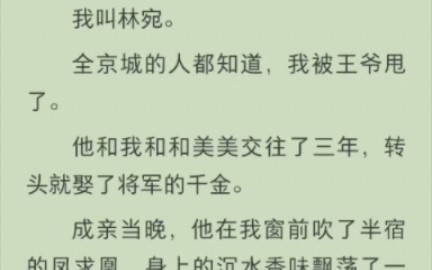 (完结版)我叫林宛.全京城的人都知道,我被王爷甩了.他和我和和美美交往了三年,转头就娶了将军的千金.哔哩哔哩bilibili