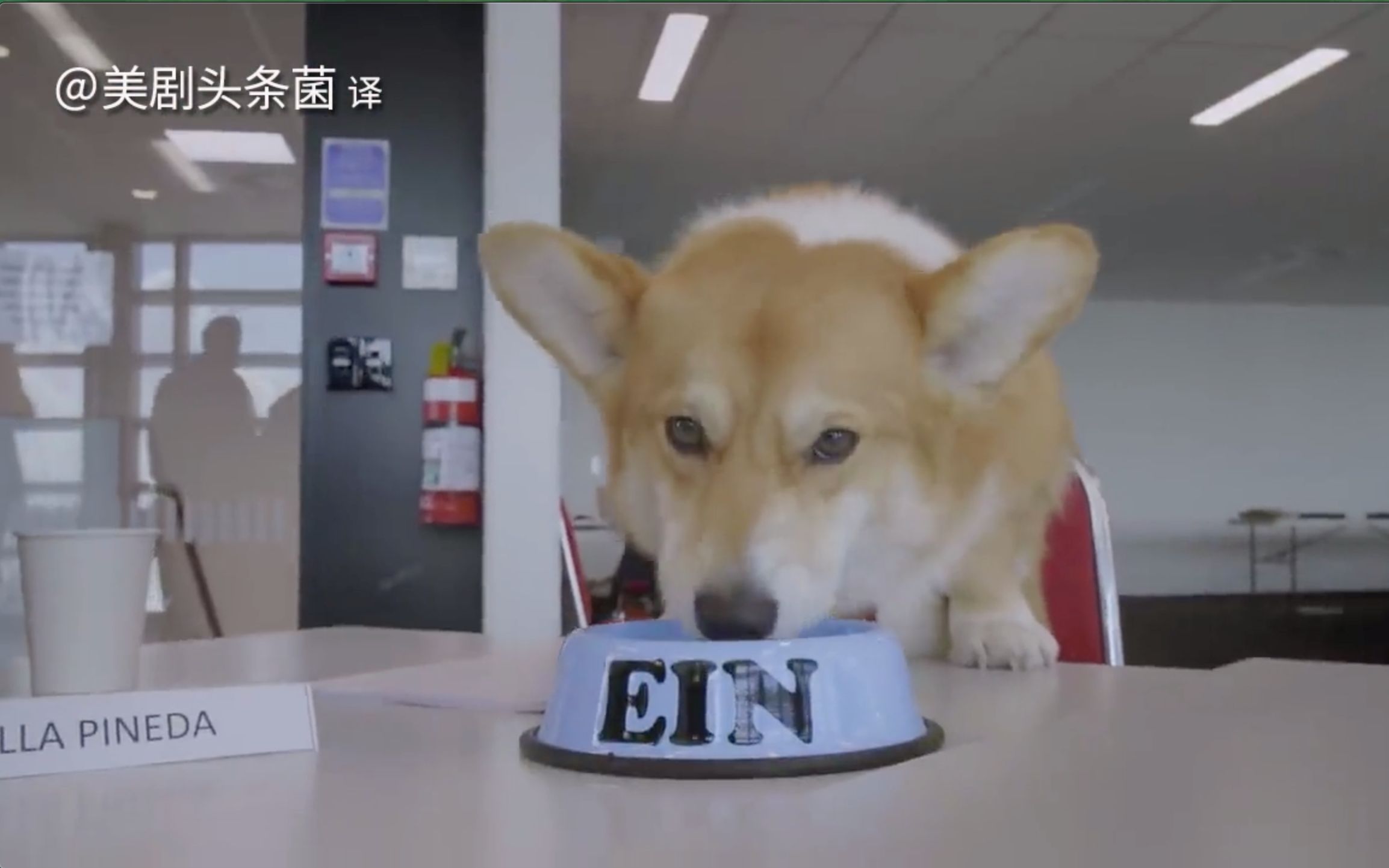 中字柯基视角星际牛仔幕后花絮