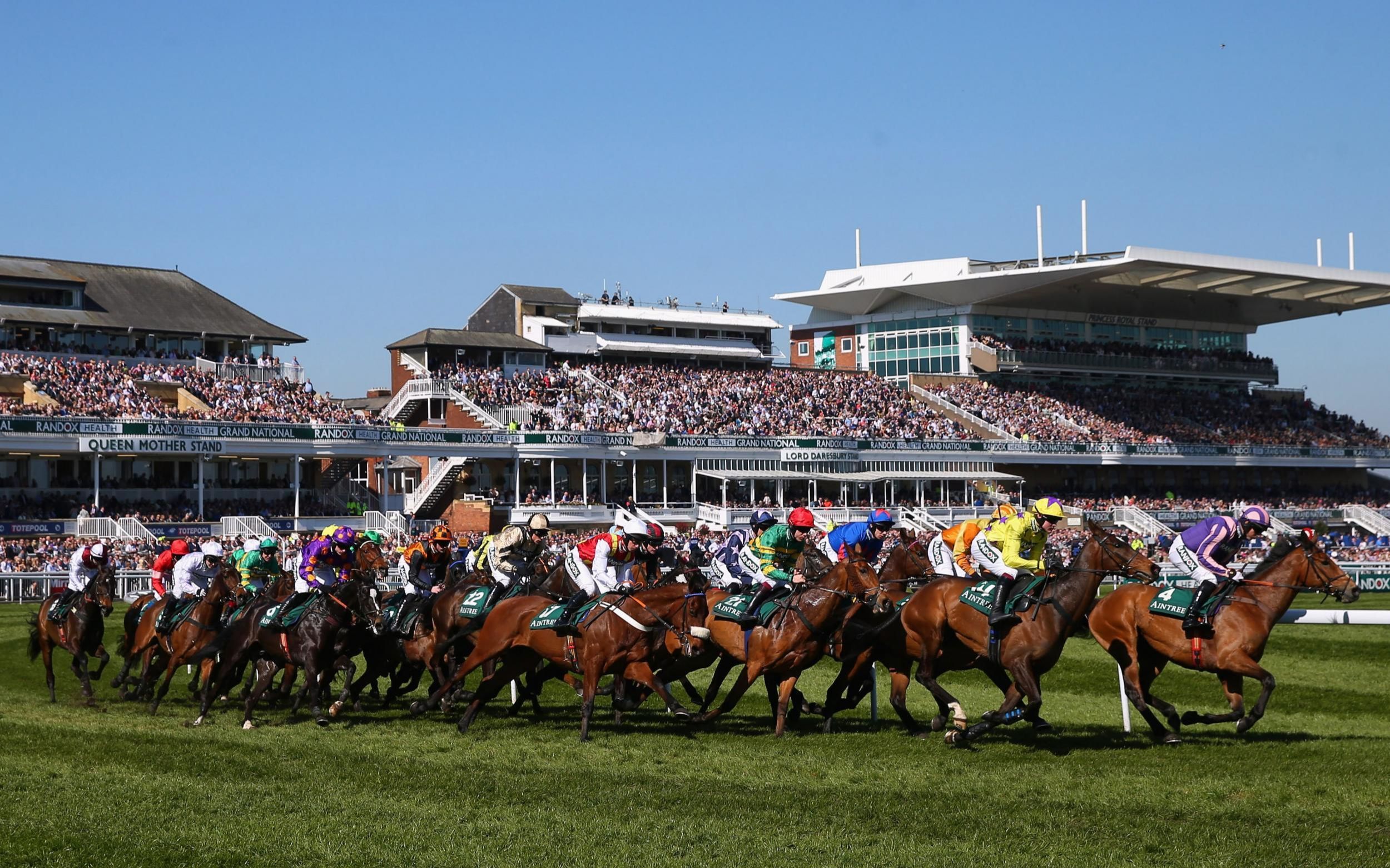 英国经典障碍赛马 grand national 2018