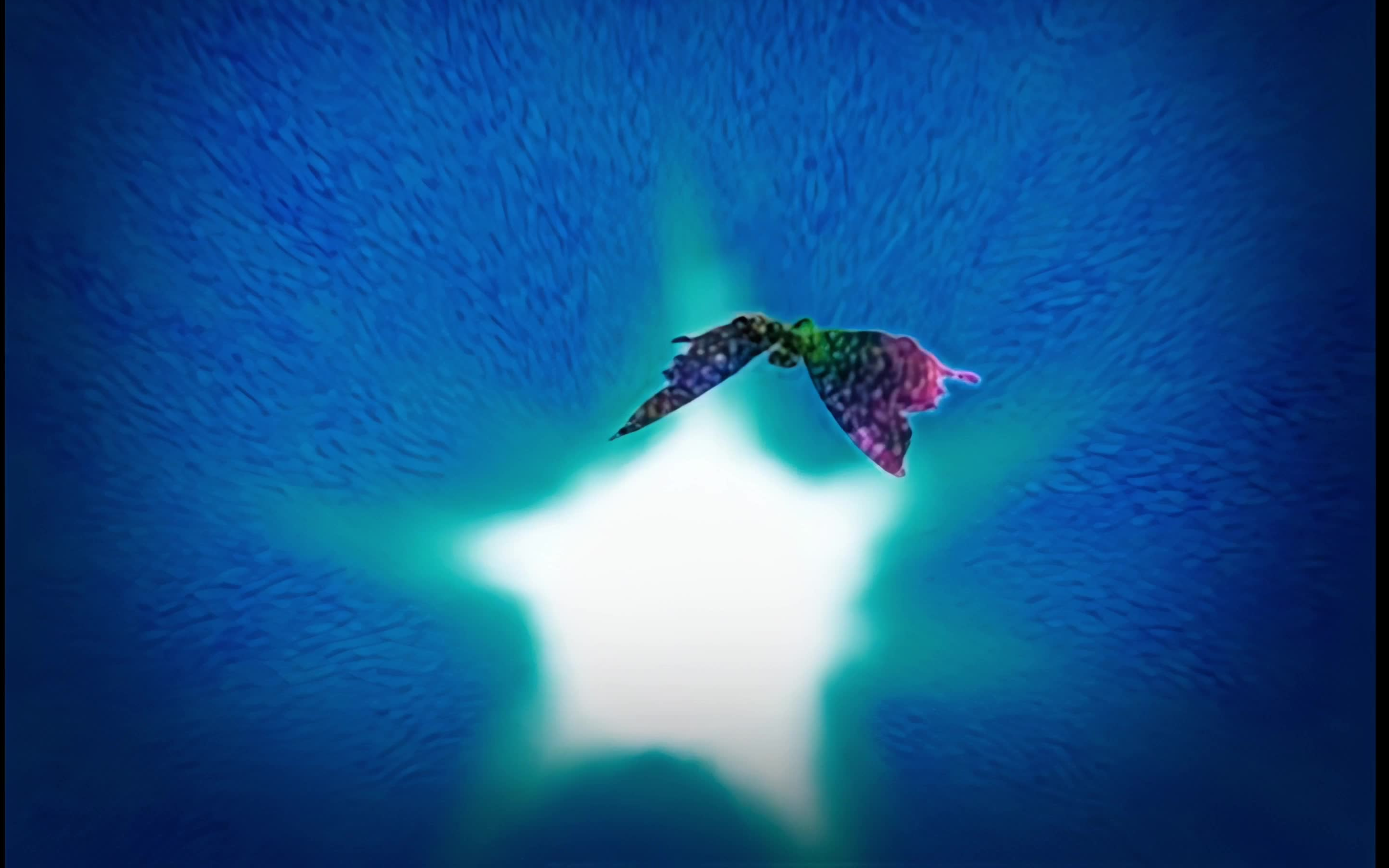 多少人小时候的回忆4k修复火影忍者ed1wind