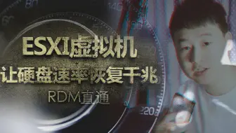 ESXI(6.0-6.7)一步开启RDM硬盘直通，让传输速率恢复千兆
