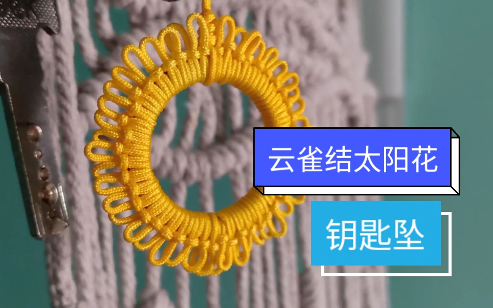 走进非遗六月六晒书节送你一个小太阳云雀结太阳花