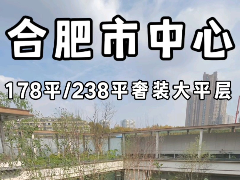 合肥市中心178平238平奢装大平层改善首选带下沉式庭院会所泳池健身房#合肥大平层#合肥大平层设计#合肥新房#合肥新房推荐哔哩哔哩bilibili