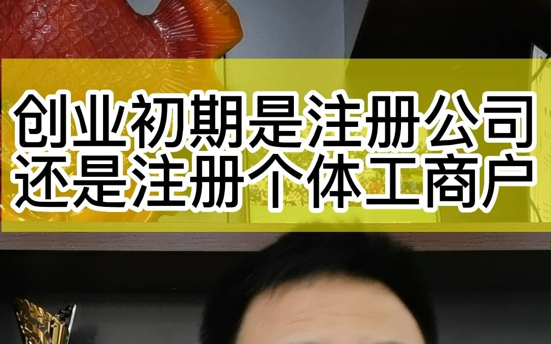 创业注册营业执照,是注册有限公司好还是注册个体工商户好呢?各有什么利弊,哔哩哔哩bilibili