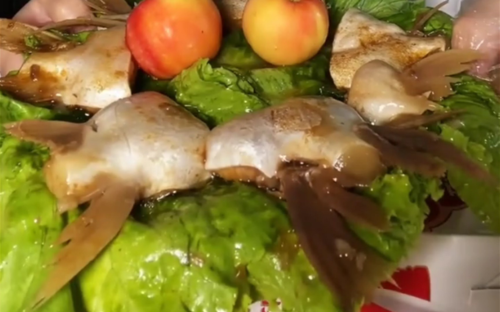 鱼油鱼下巴合集④快手剪辑2倍速