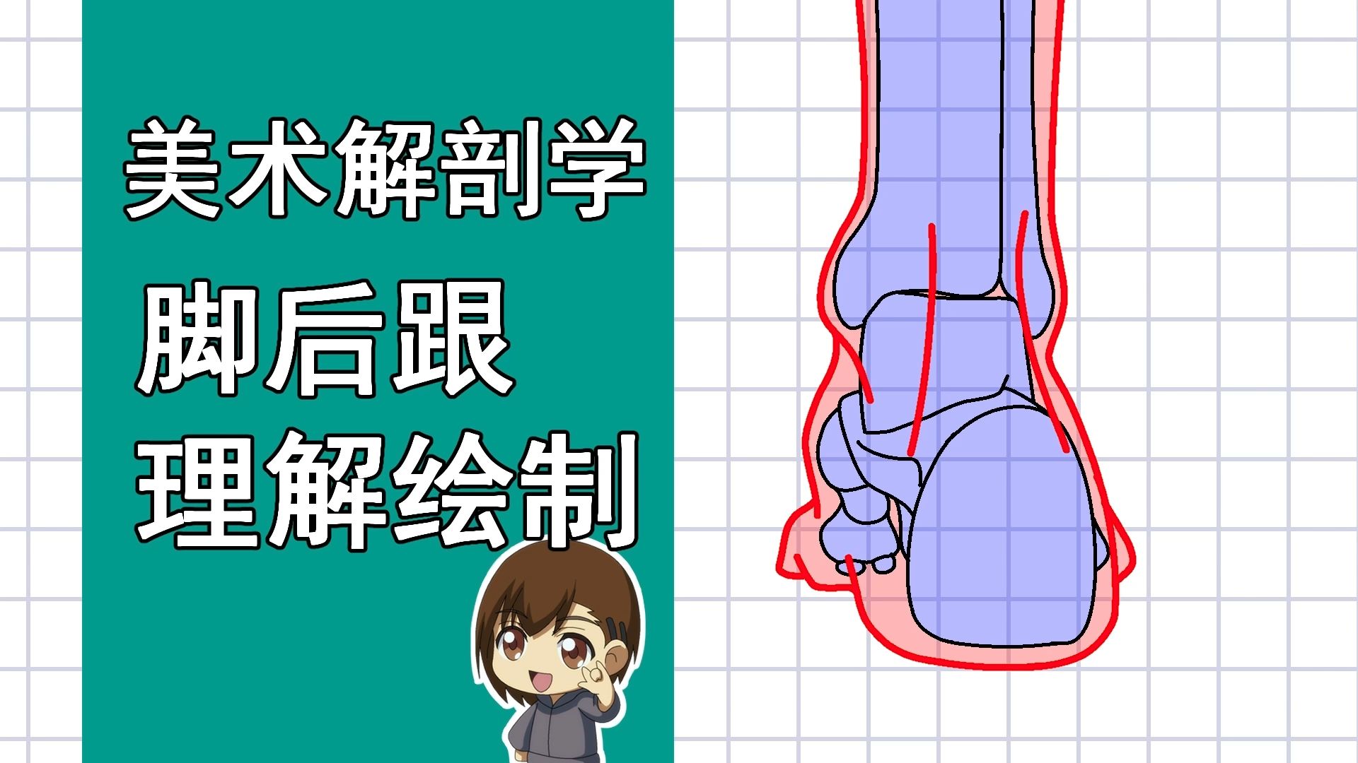 美术解剖学-81-脚后跟理解绘制