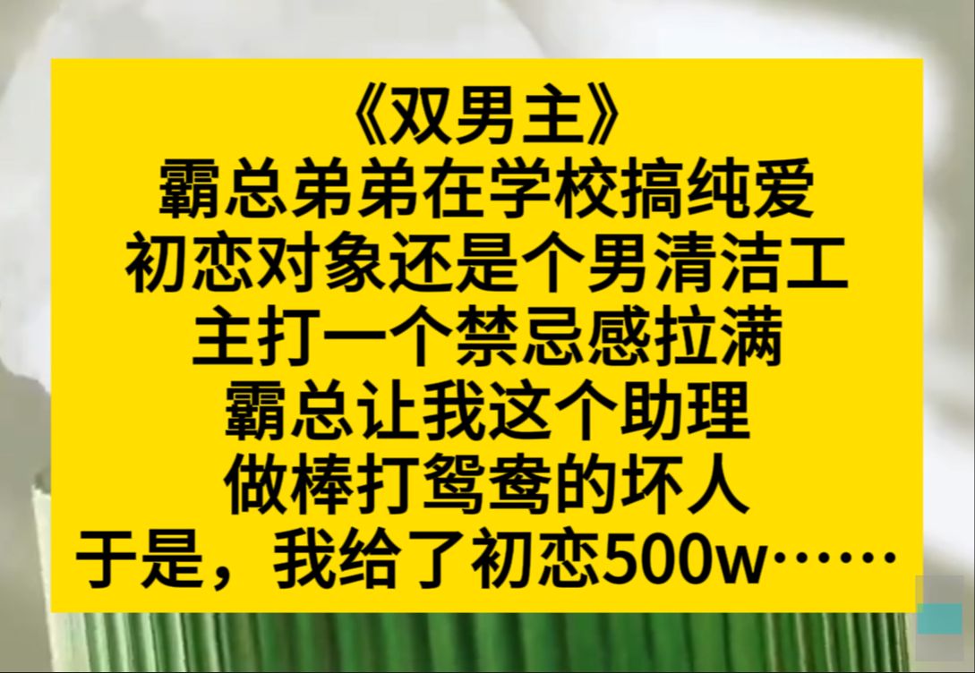 双男主 霸总弟弟在学校搞纯爱,对象还是男清洁工,霸总让我去棒打鸳鸯,我拿出500w……小说推荐哔哩哔哩bilibili