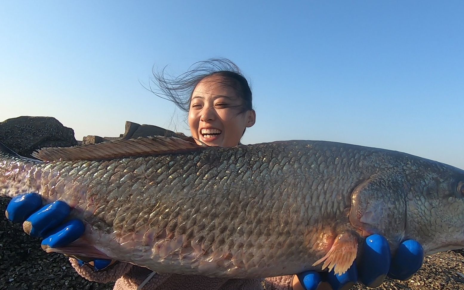 漁妹海邊發現擱淺大貨,一口就被咬幾根手指,魚太大一條就爆桶了_嗶哩