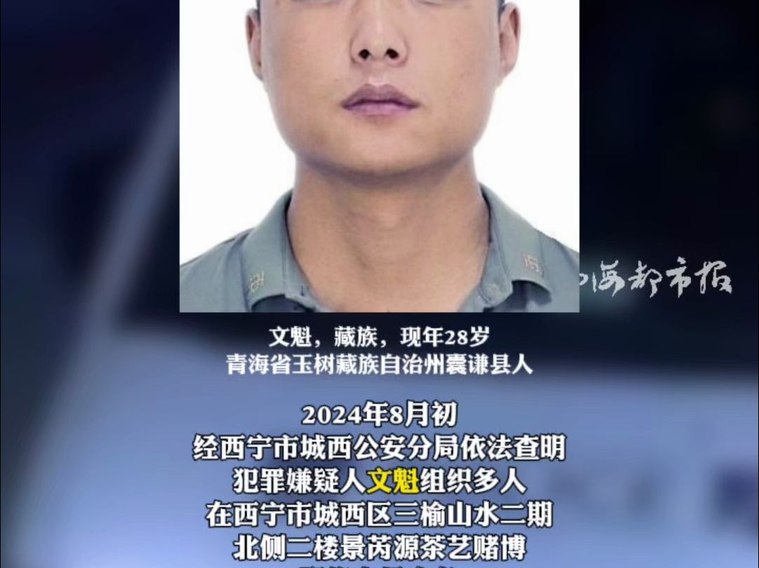 西宁警方公开征集文魁涉嫌组织他人赌博的线索哔哩哔哩bilibili