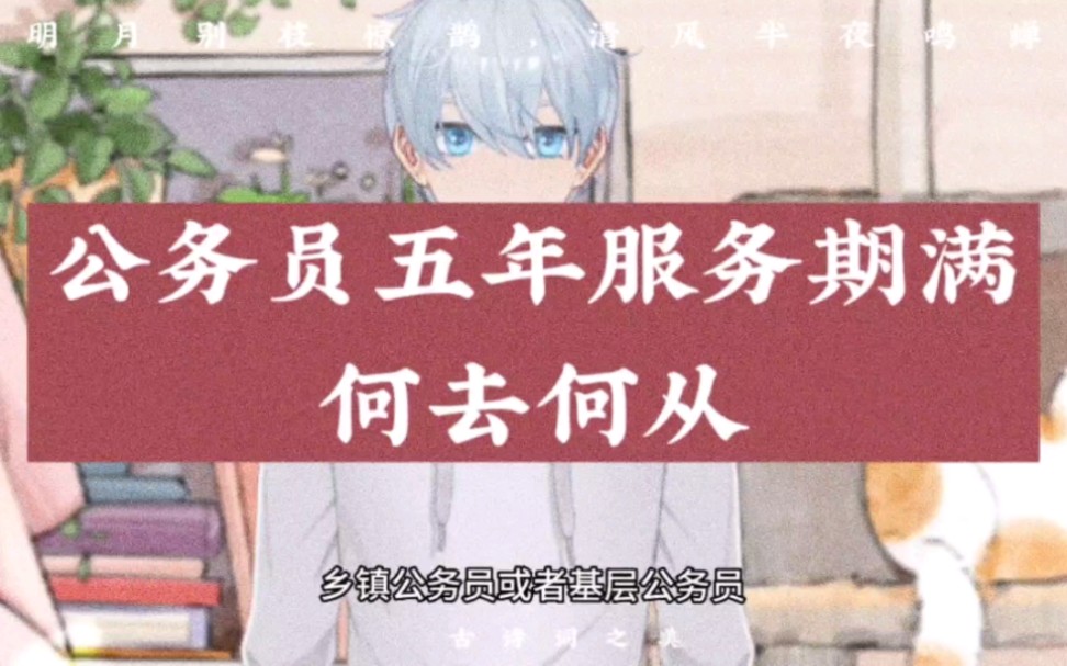 公务员五年服务期满何去何从?哔哩哔哩bilibili