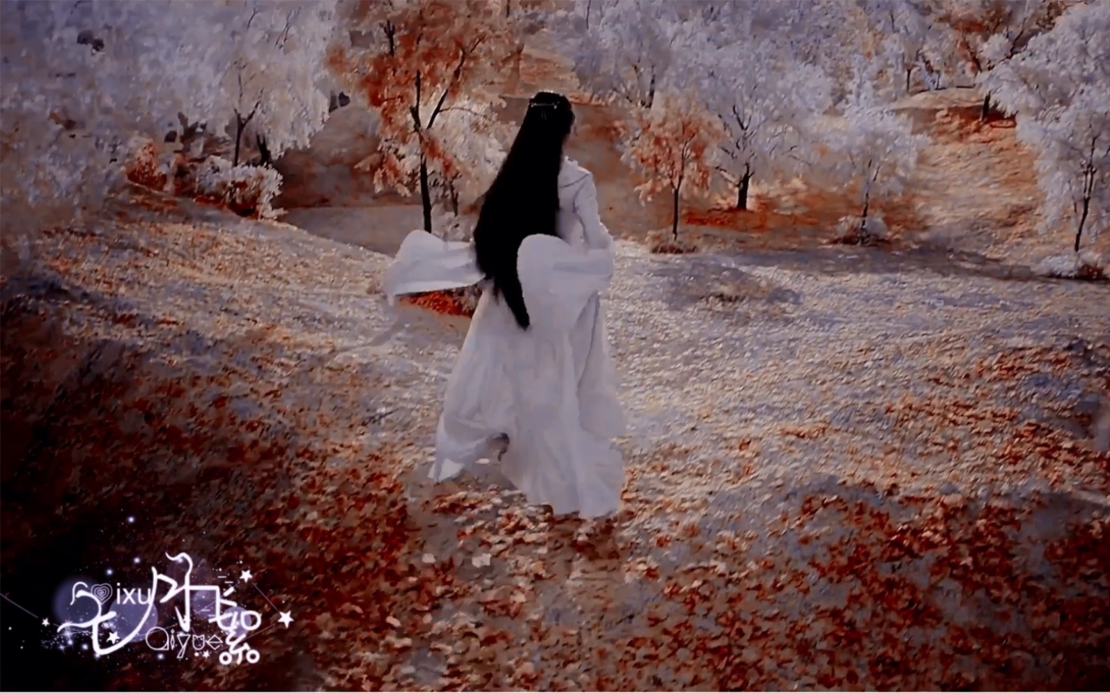 遇龙王鹤棣祝绪丹既然你叫流萤那不如我就赠你漫天流萤吧