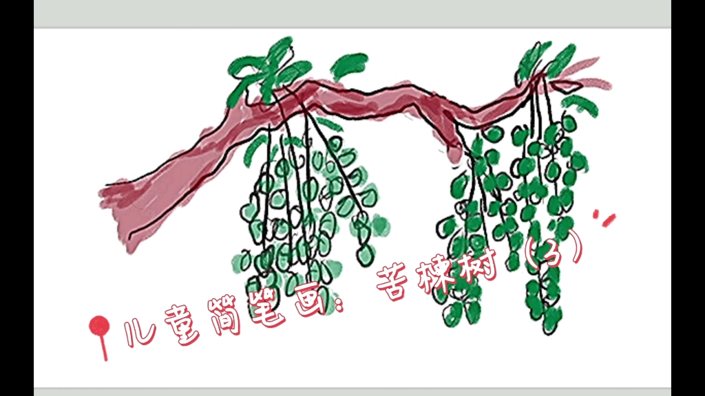 儿童简笔画:苦楝树(3)哔哩哔哩bilibili