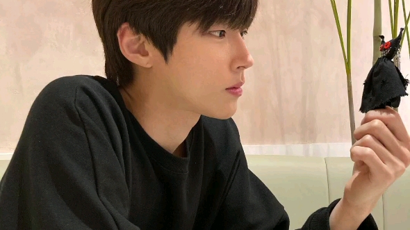 黄寅烨欧巴更新ins