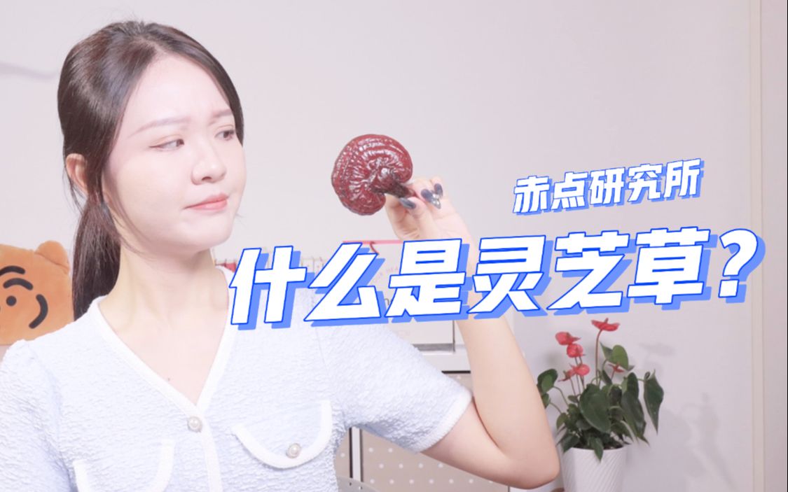 什么是灵芝草?哔哩哔哩bilibili