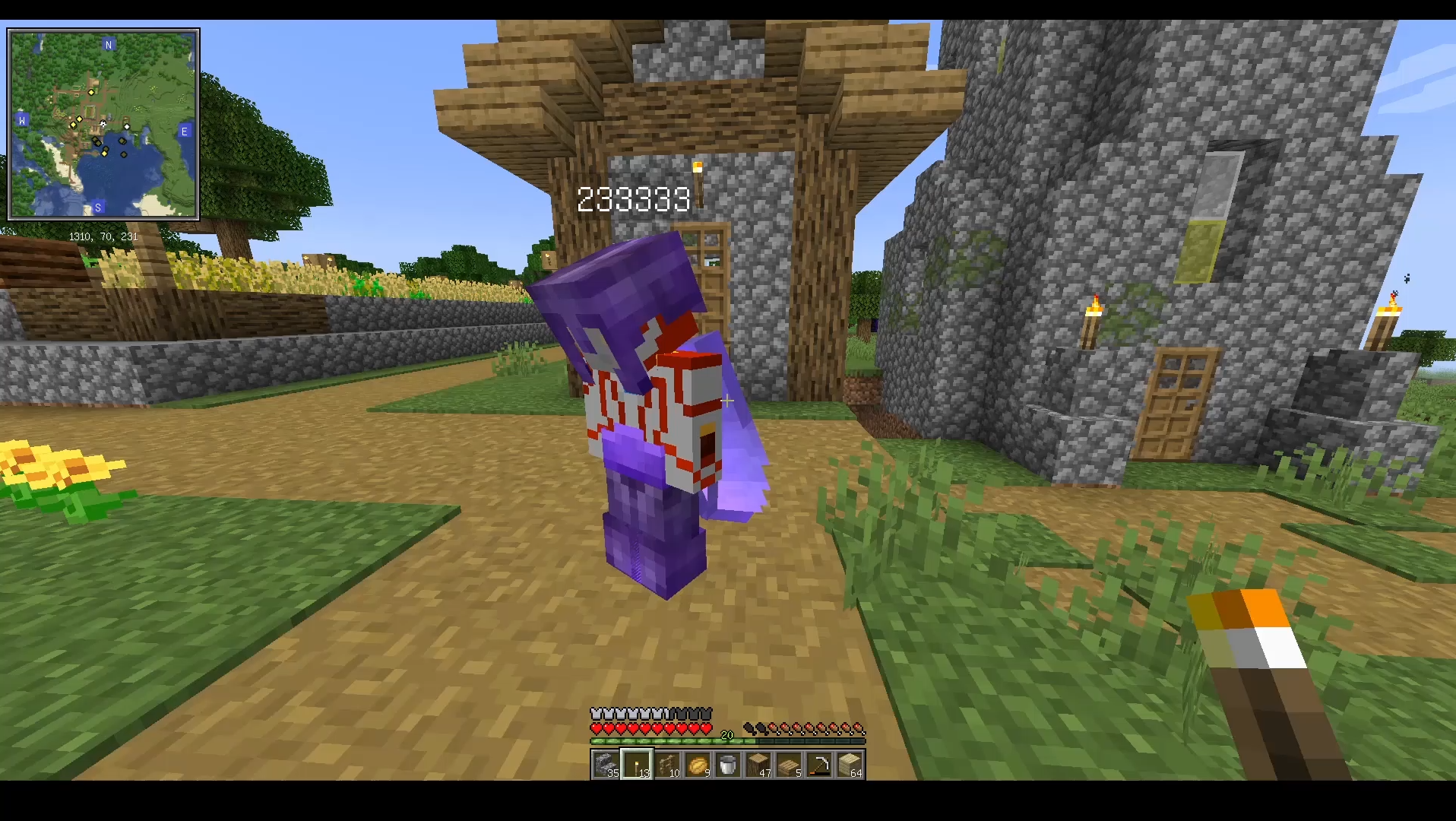 参观一波2333的家 【荧光幻夜】mc1.18原版