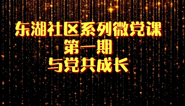 铁锋区东湖社区系列微党课第一期 @志愿铁锋 #齐齐哈尔# 党史学习# 党员干部哔哩哔哩bilibili