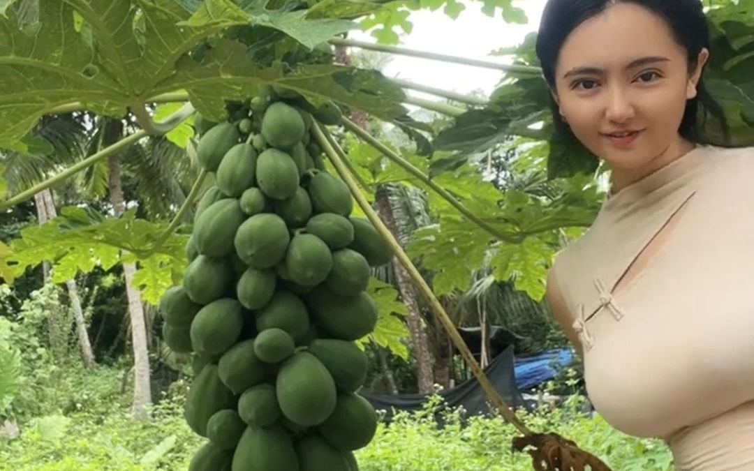 【土味食堂】191 海南这大木瓜都没人吃?我不信!哔哩哔哩bilibili