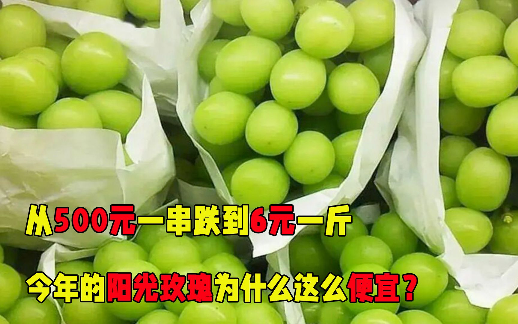 从500元一串跌到6元一斤,今年的阳光玫瑰为什么这么便宜?哔哩哔哩bilibili