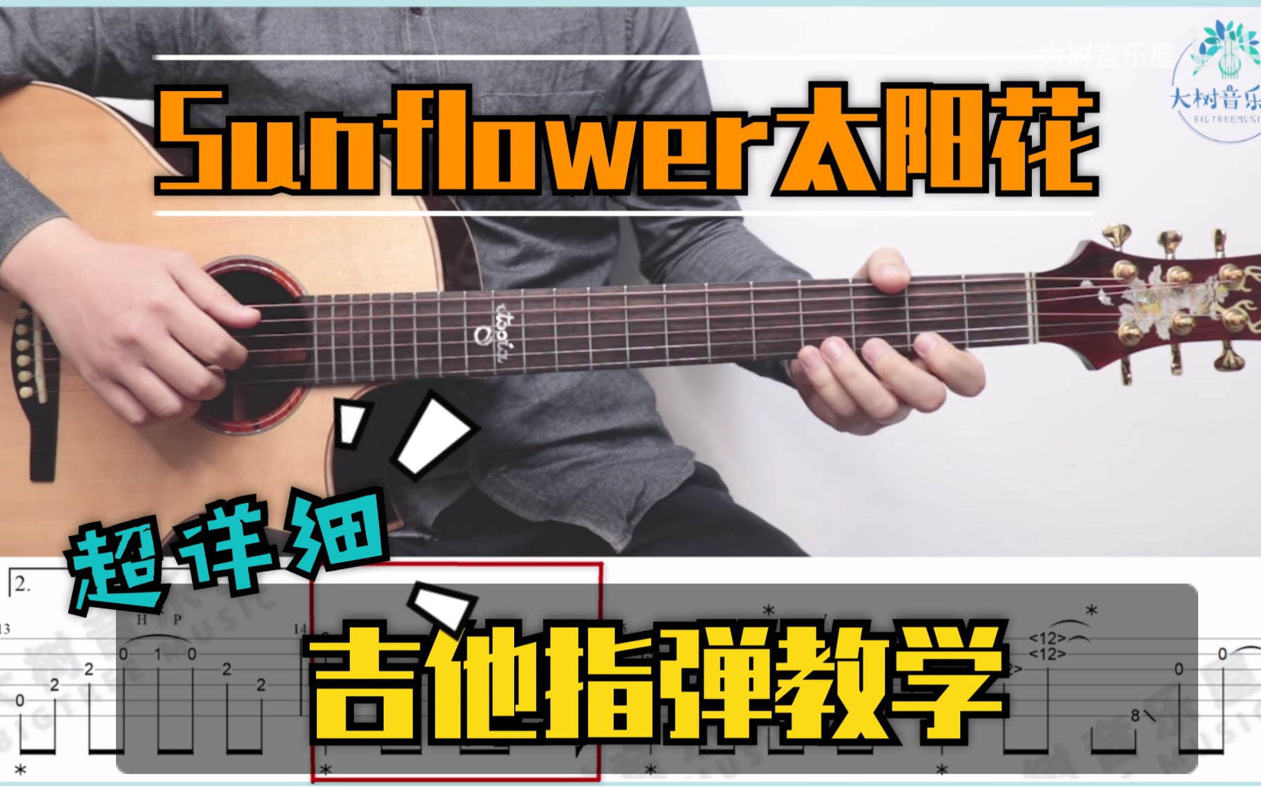 [图]【指弹教学】指弹入坑曲 太阳花《Sunflower》Cover孙培博-吉他指弹完整教学-大树音乐屋