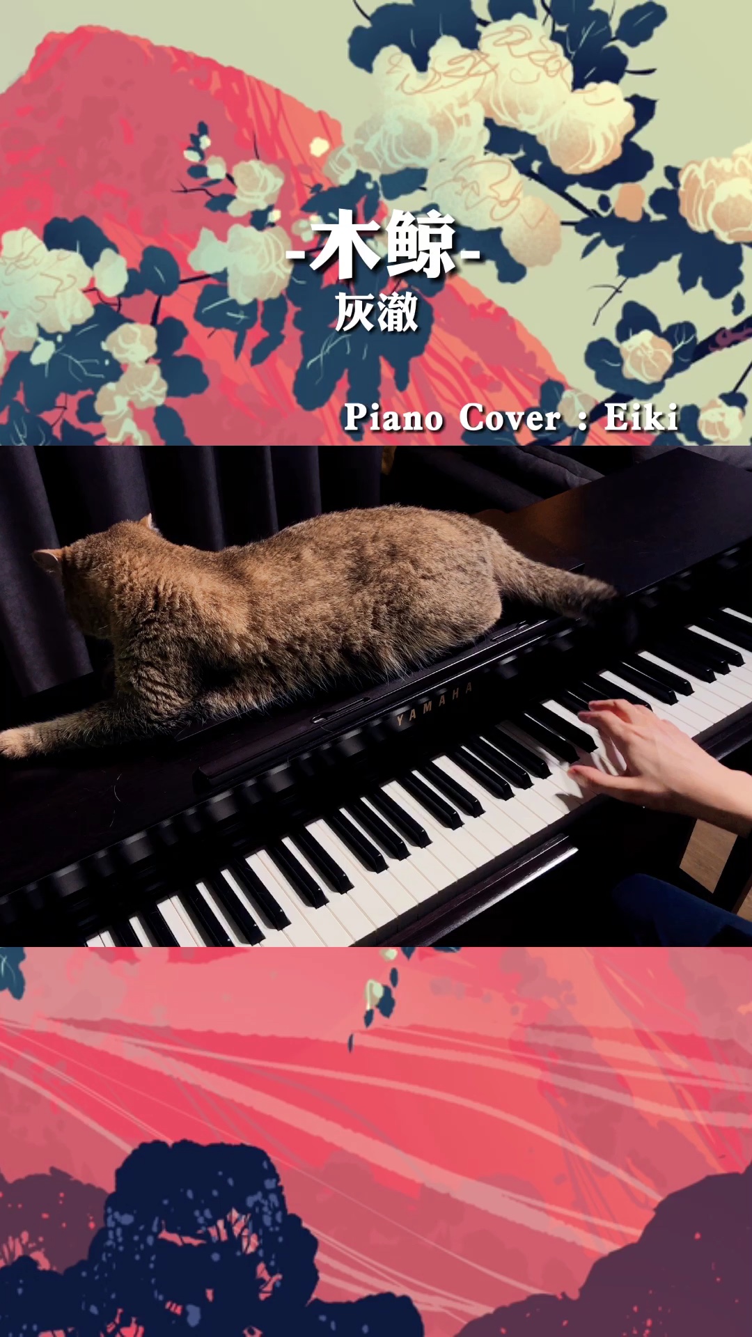 把枕头哭湿的话,晚上可以梦见大海的哦#钢琴#灰澈#木鲸_哔哩哔哩 (゜