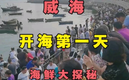 威海开海,海鲜价格大揭秘!哔哩哔哩bilibili