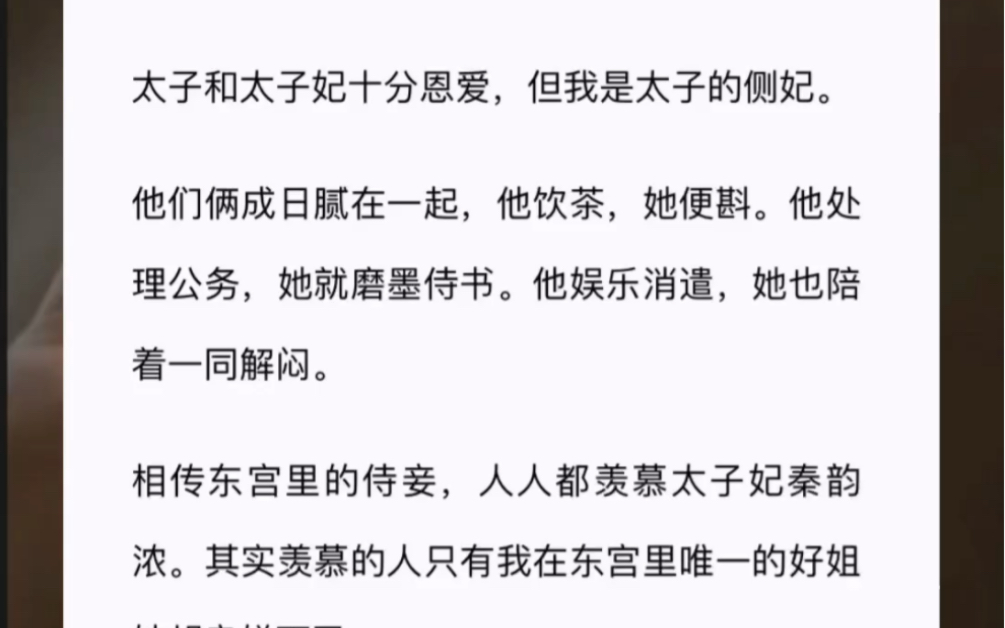 我是太子侧妃,太子和太子妃十分恩爱,我只是东宫消遣的侍妾《 宁不为妃》zhihu哔哩哔哩bilibili