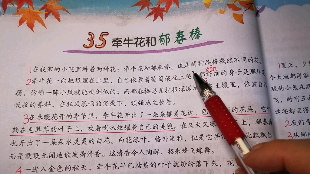 三年级语文阅读理解《牵牛花和郁春棒》,对比是一种表现手法哔哩哔哩bilibili