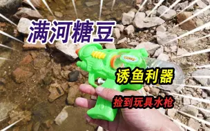 Descargar video: 小河里发现满河不明糖豆，引诱来一群小鲫鱼，捡到一把玩具小水枪