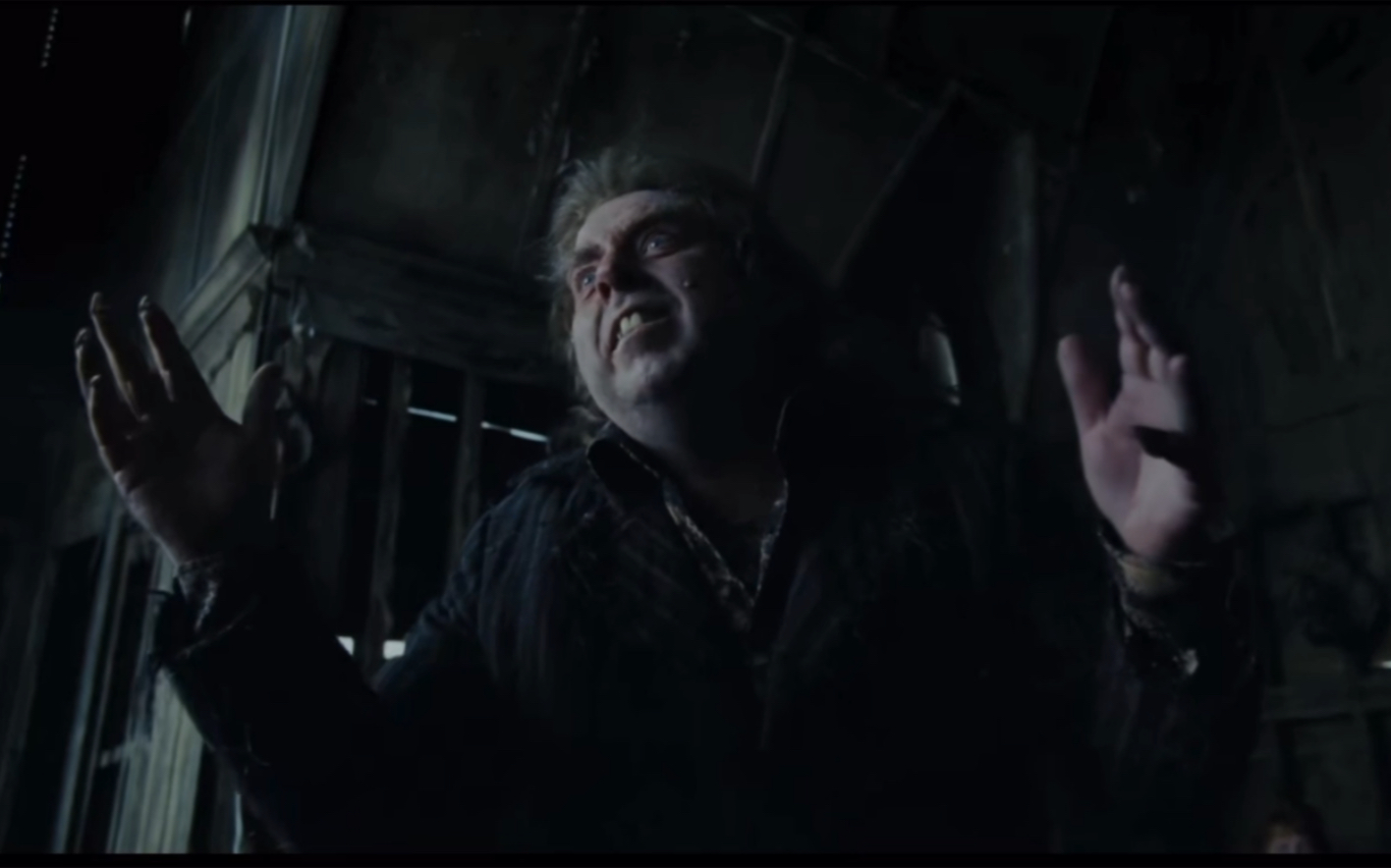 格兰芬多的食死徒一一虫尾巴_哔哩哔哩_bilibili