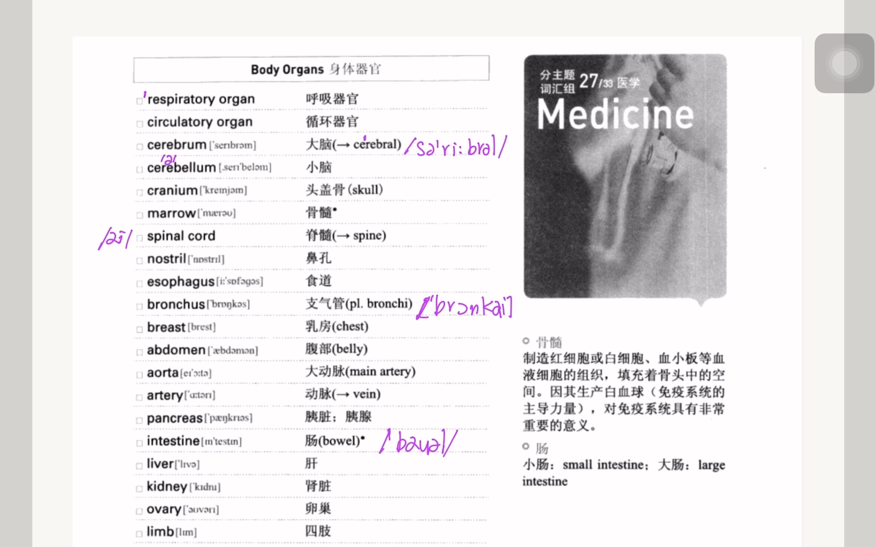 [图]《跟着小E背托福分类词汇》-027 Medicine 医学