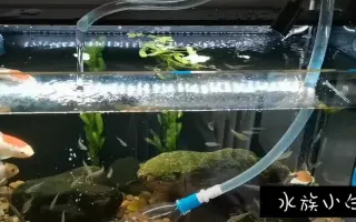 清理底砂 哔哩哔哩 Bilibili