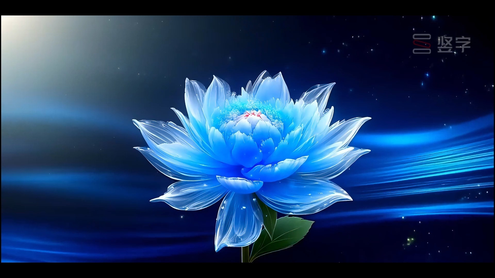 蓝色唯美牡丹花背景视频素材