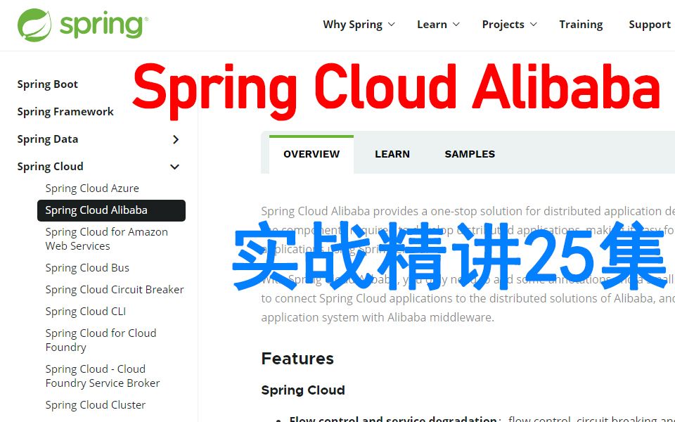 Spring Cloud Alibaba技术栈视频教程全集哔哩哔哩bilibili