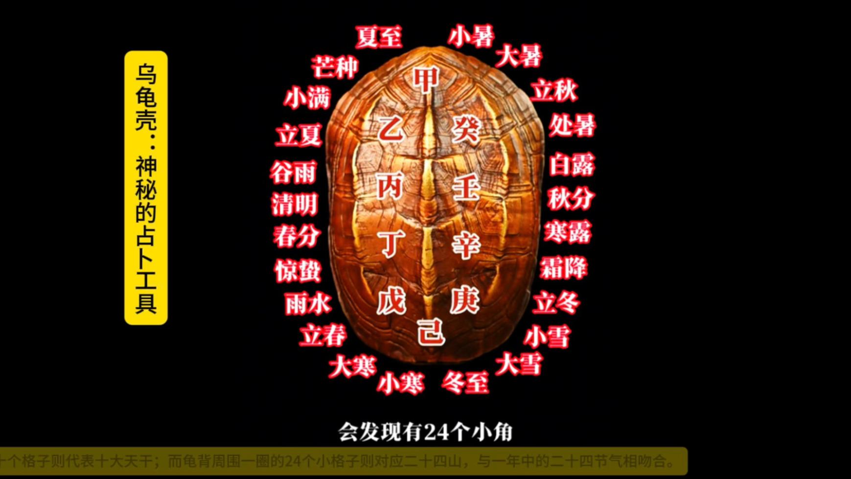 乌龟壳:神秘的占卜工具
