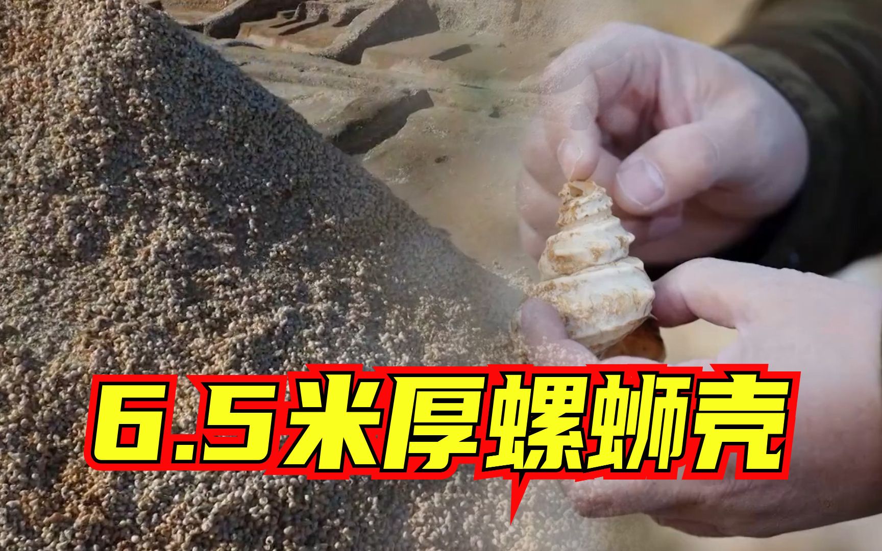 震撼!古人吃剩的螺蛳壳竟堆成一座山哔哩哔哩bilibili