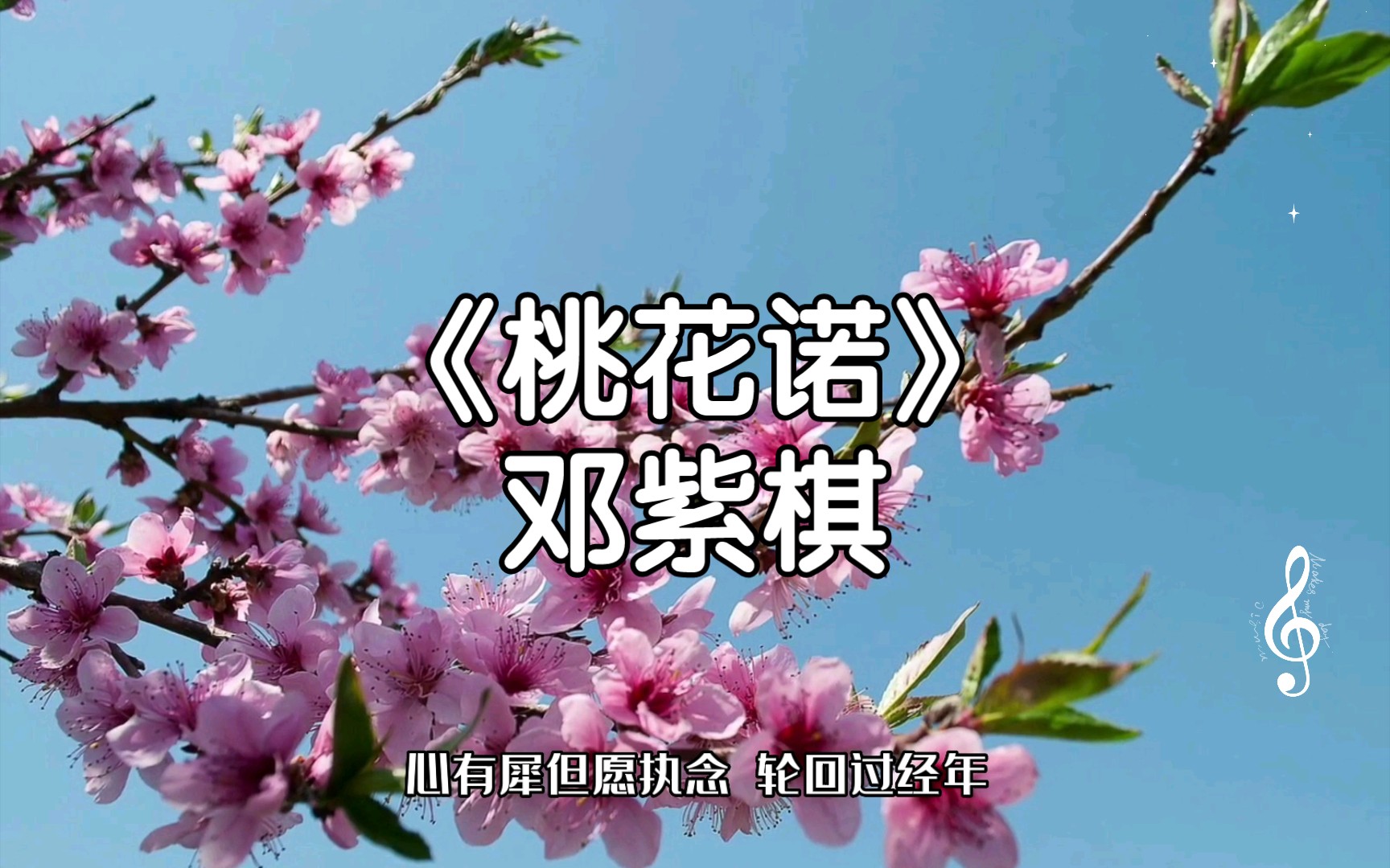 《桃花诺》邓紫棋