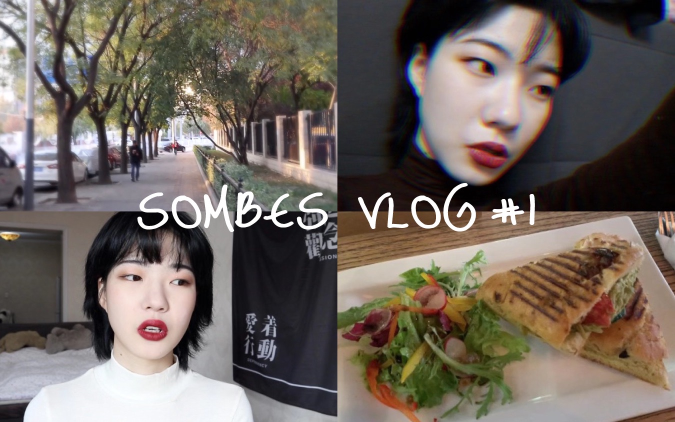 【sombresombra】聊聊近期规划&跟我过一天吧!洗头出门逛书店 VLOG#1哔哩哔哩bilibili