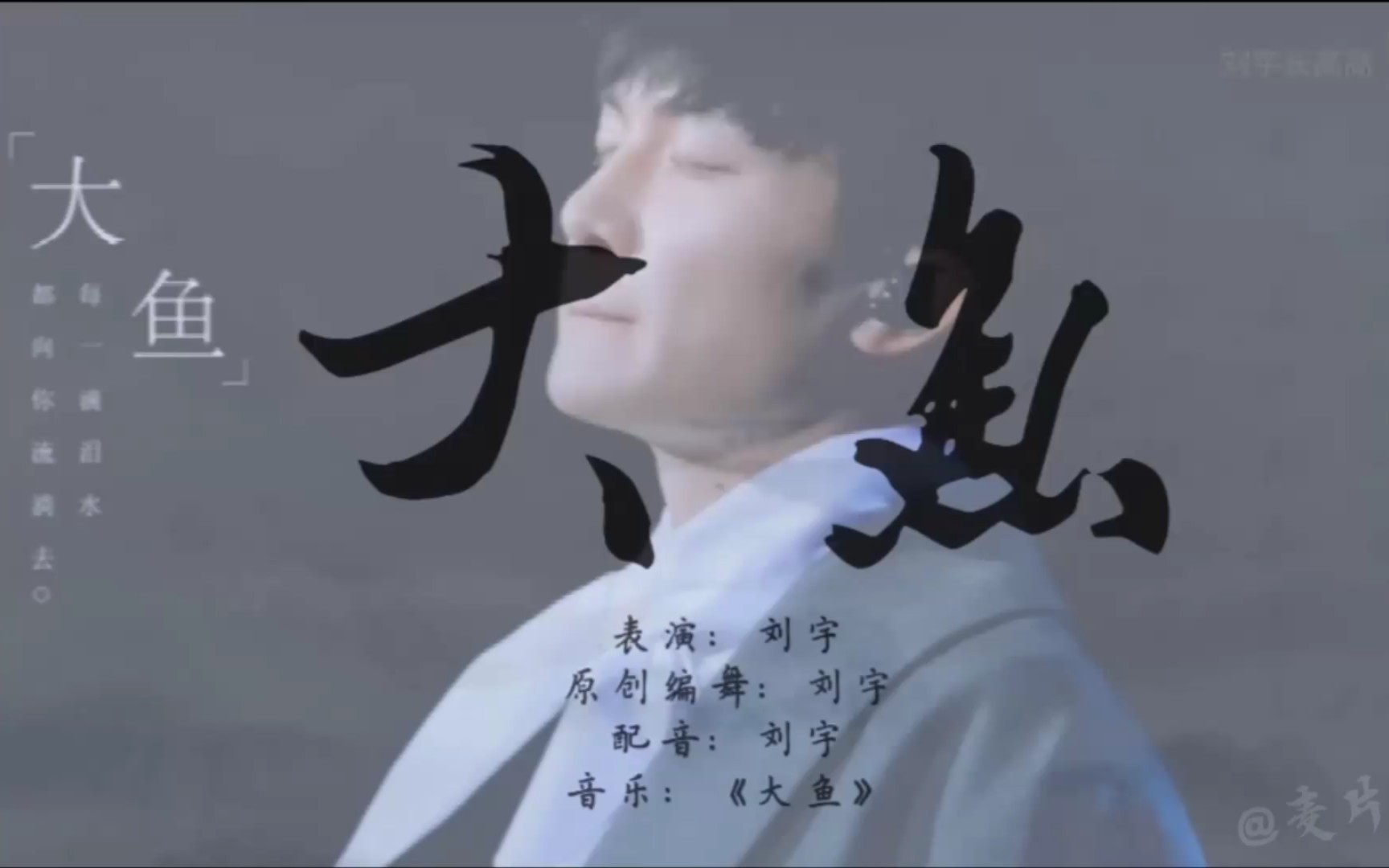 刘宇周深大鱼混剪加多一小段吟唱