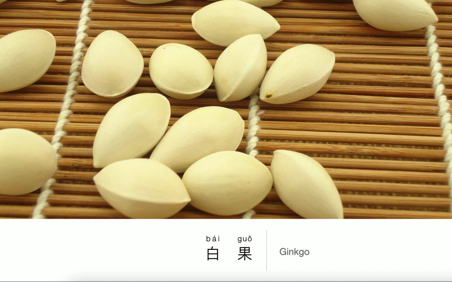 Nut: Ginkgo , 坚果:白果哔哩哔哩bilibili