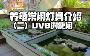 Download Video: 养龟常用灯具使用（二）UVB的使用