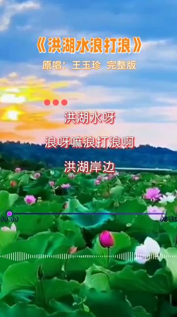 歌曲洪湖水浪打浪(歌曲洪湖水浪打浪简介)