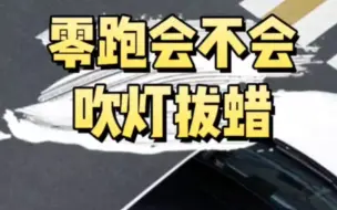 Tải video: 零跑汽车，会倒闭吗？