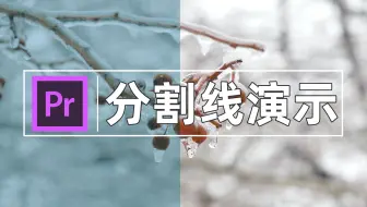 【PR教程】PR分割线演示，新手小白必会系列